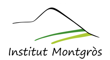 Institut Montgròs